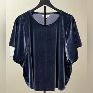 Madewell Navy Velvet Short Sleeve Top